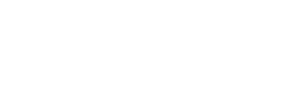 AQUAFORCE STORMロゴ