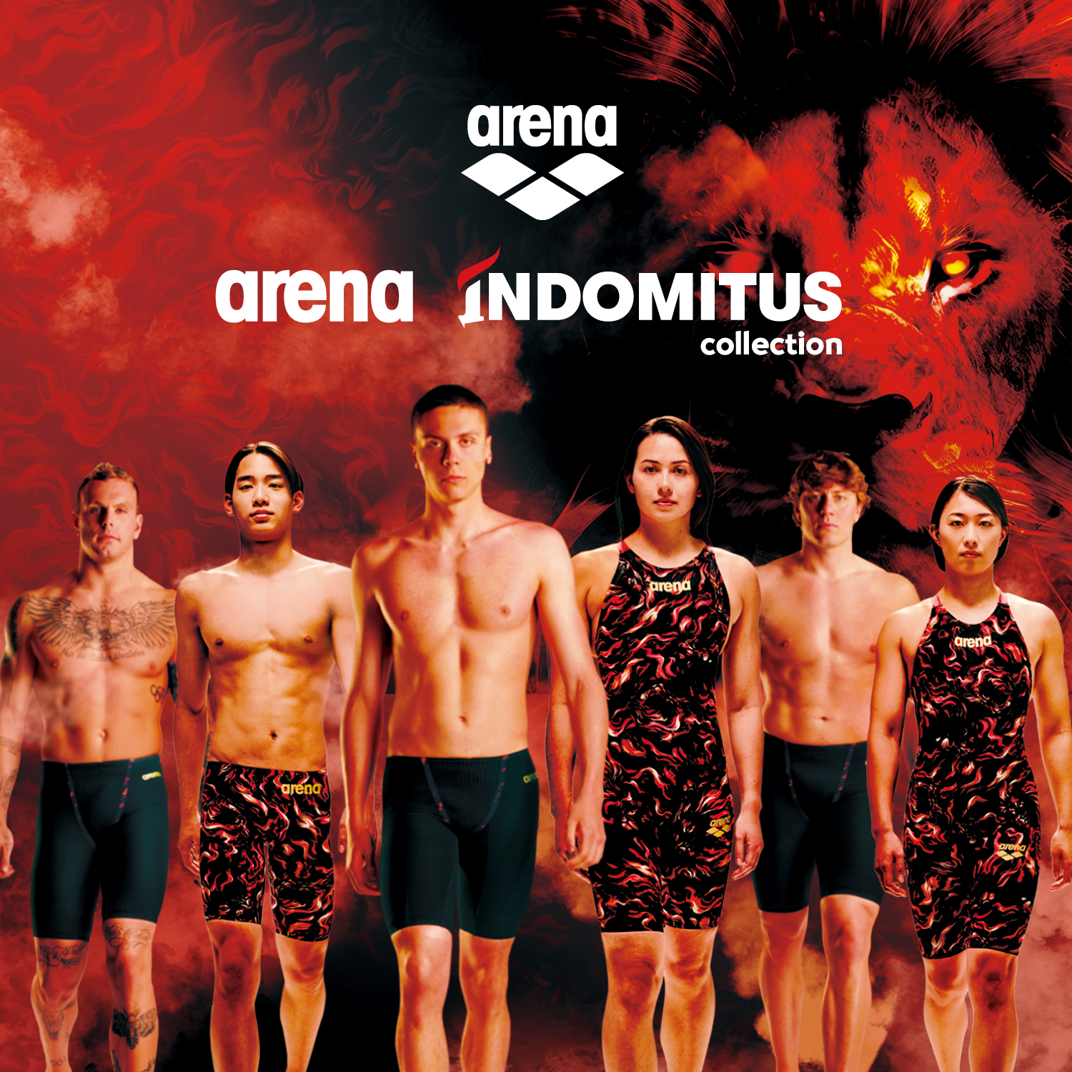 arenaindomitus