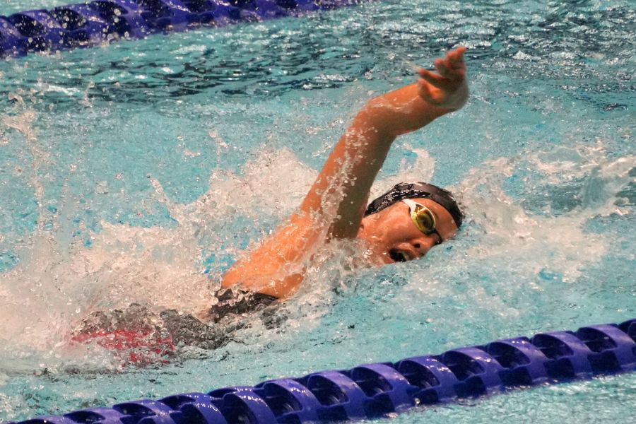 アリーナゴーグルトライアル