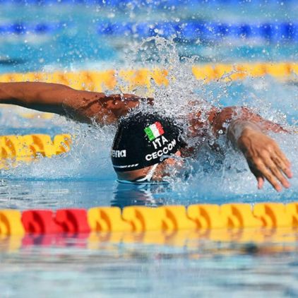 arena｜アリーナ｜thomas ceccon