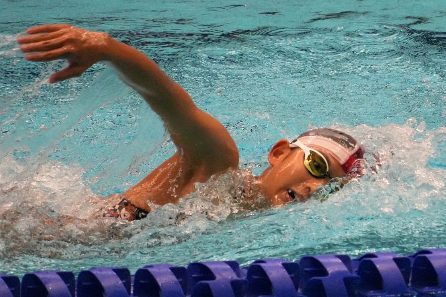 アリーナゴーグルトライアル