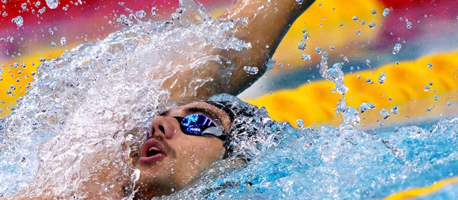 thomas ceccon｜トーマス・チェッコン