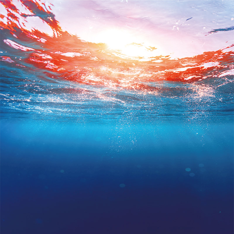 チームアリーナコレクション　デザイン