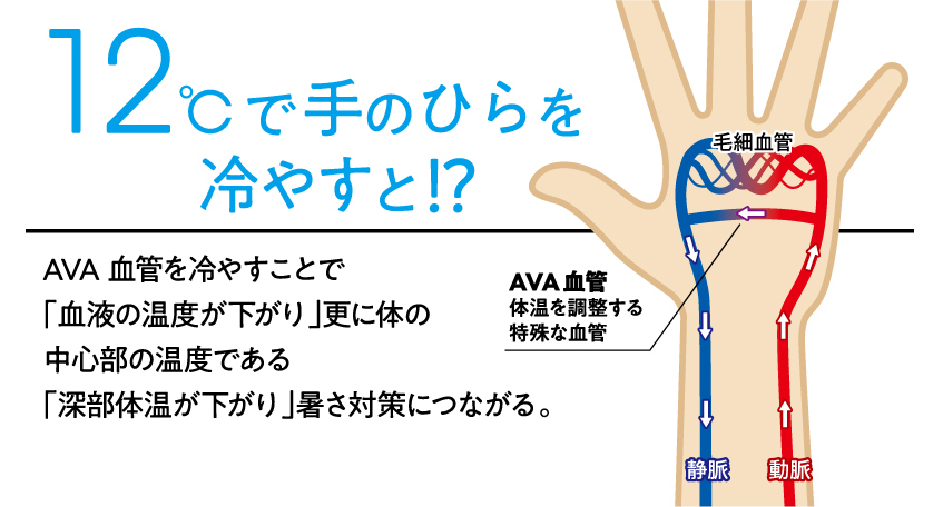 イメージ：手のひらを冷やす暑熱対策とは？