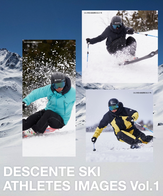 デサント DESCENTE スノボジャケット スキーウェア スキーLメンズ 白 