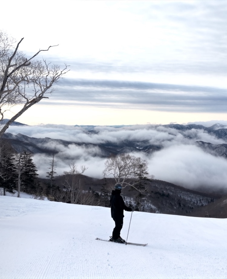DESCENTE Ski Premium Tour 2026