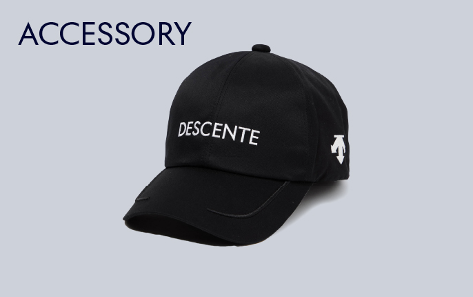 ACCESSORY
