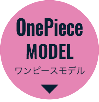 OnePiece MODEL