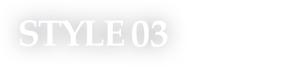 STYLE03