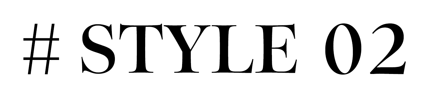 STYLE 02