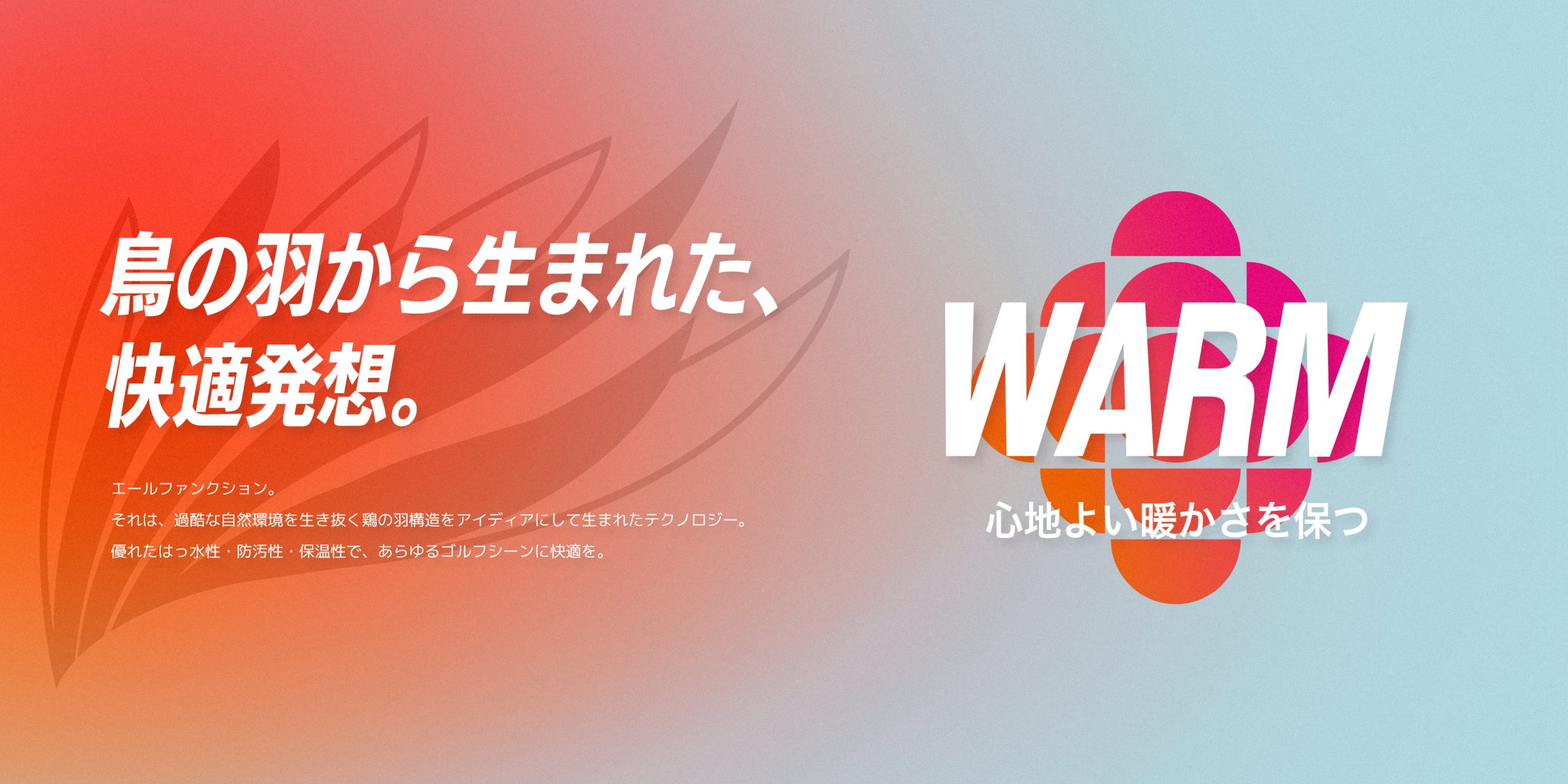 エールファンクションとは