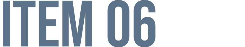 ITEM 06