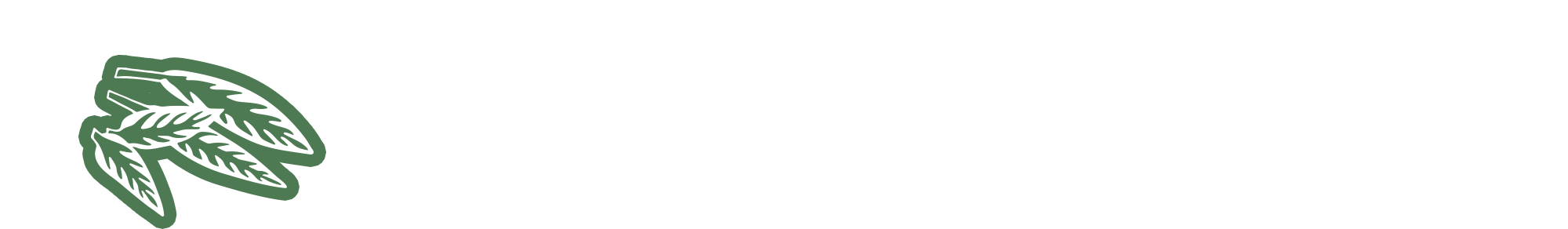 ムーミンとのコラボレーション