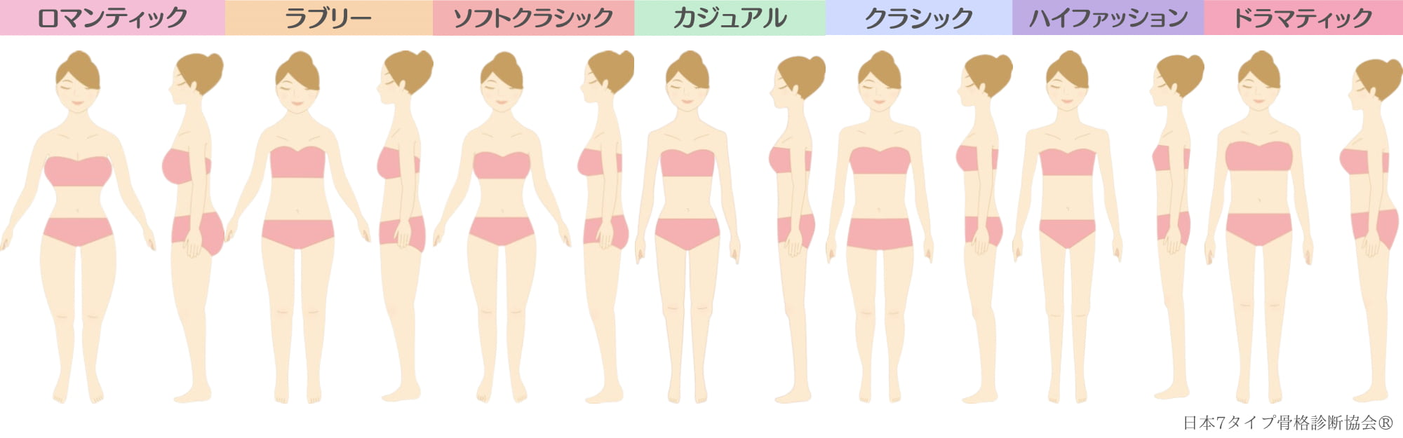 7タイプ骨格診断の画像