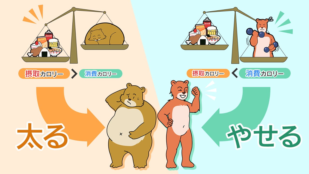 消費カロリーと摂取カロリーのイメージ