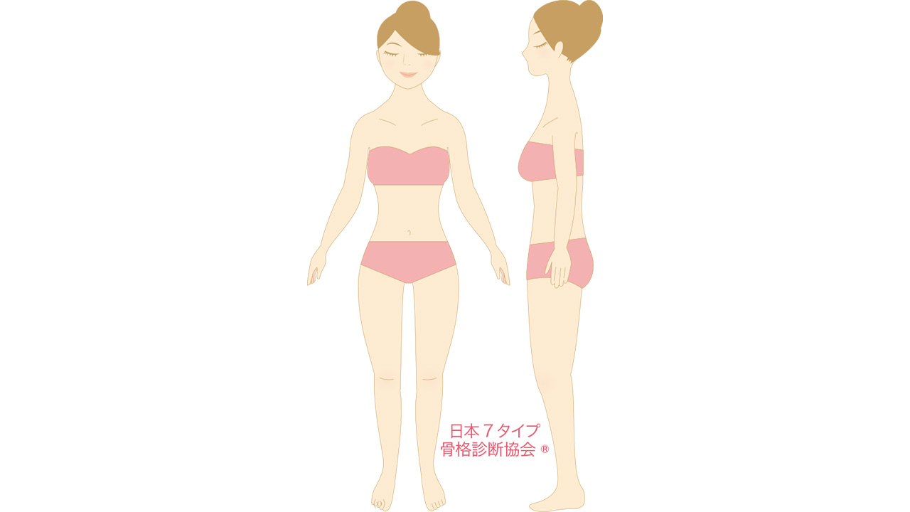 骨格ソフトクラシックの画像