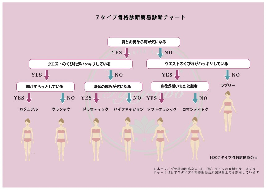 7タイプ骨格診断診断チャートの画像
