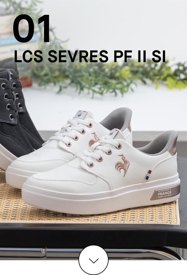 LCS SEVRES PF II SI