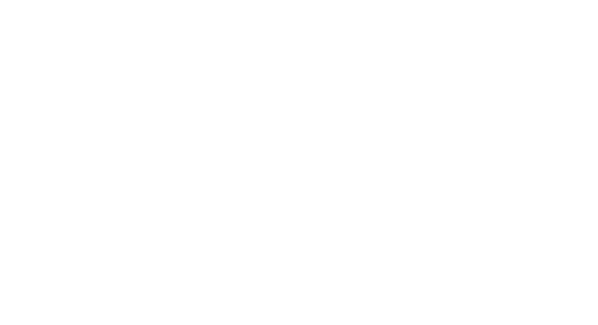 2008 Move Sport