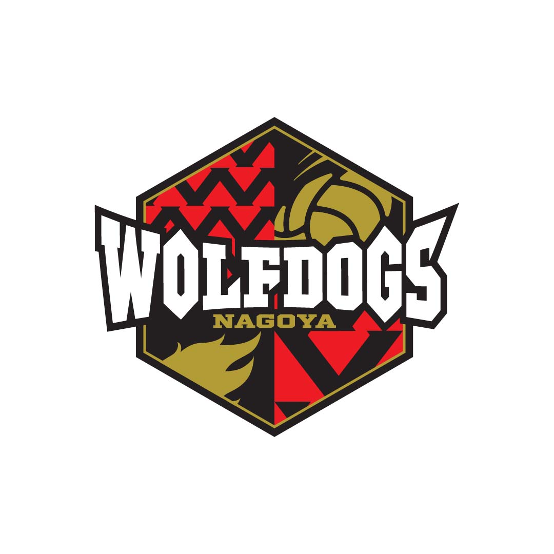 ムーブスポーツ契約アスリート｜バレーボールチーム｜ウルフドッグス名古屋