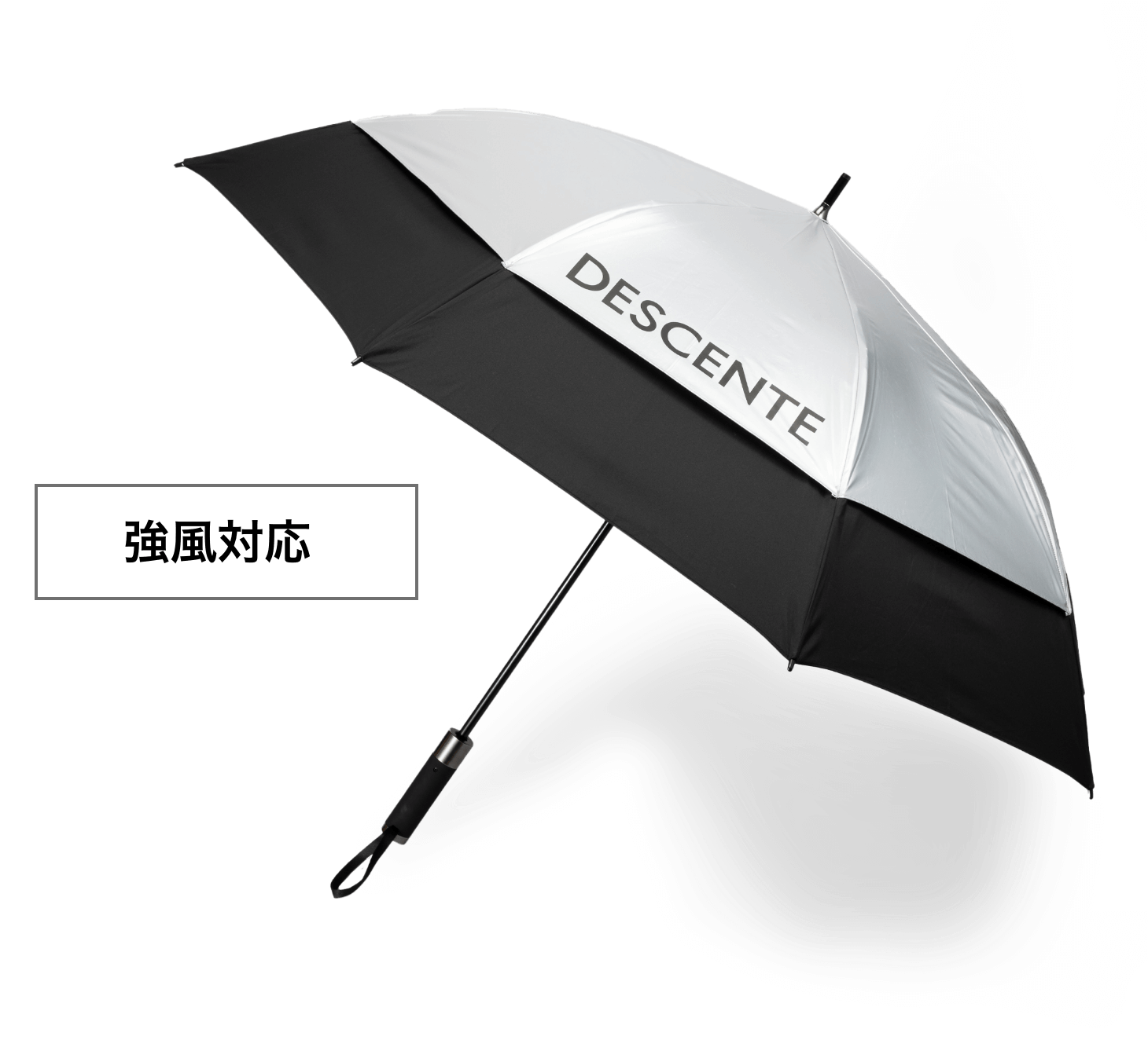 20240209_DGambrella_SC3-6_sp.png 20240209_DGambrella_SC3-6_sp.png