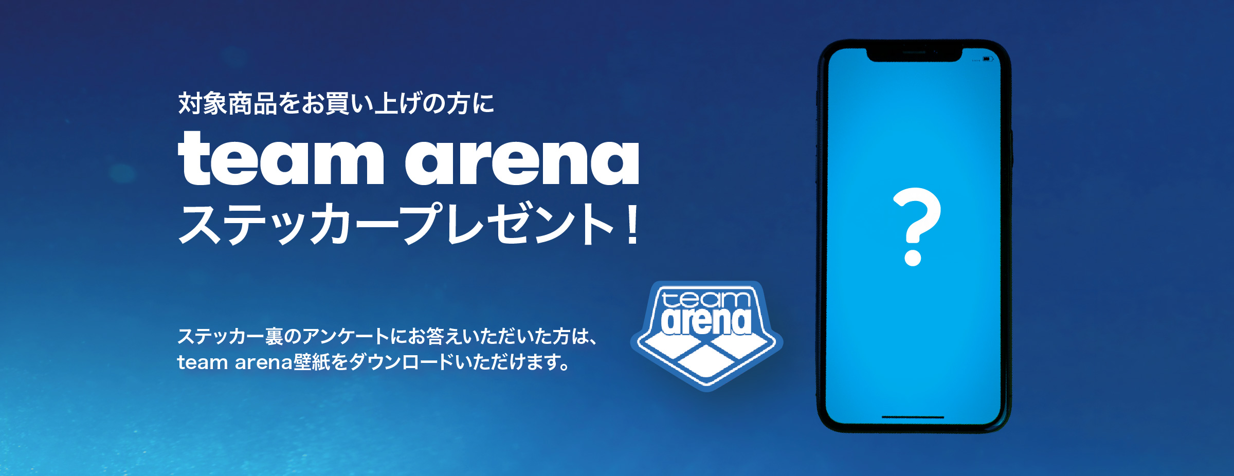 arena アリーナ teamarena チームアリーナ