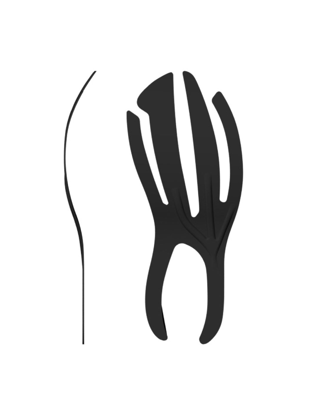 画像のタイトル