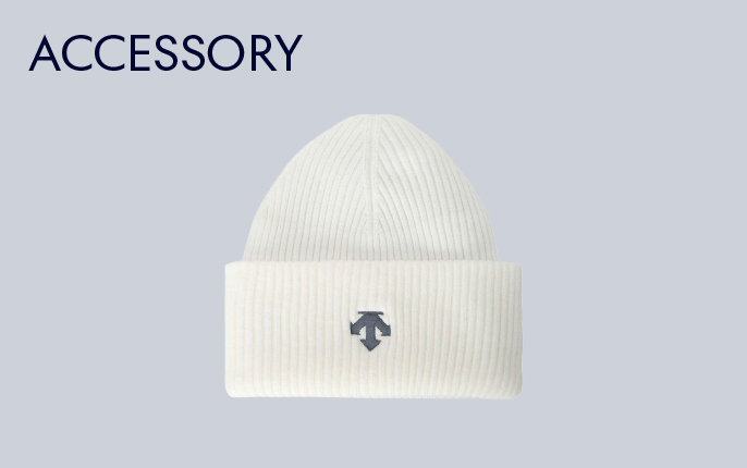 ACCESSORY
